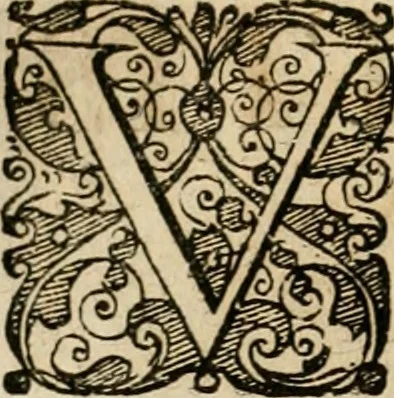 An illustration from Symboloru[m] & emblematum ex re herbaria desumtorum centuria vna[-quarta] collecta, 1654, leaf 449