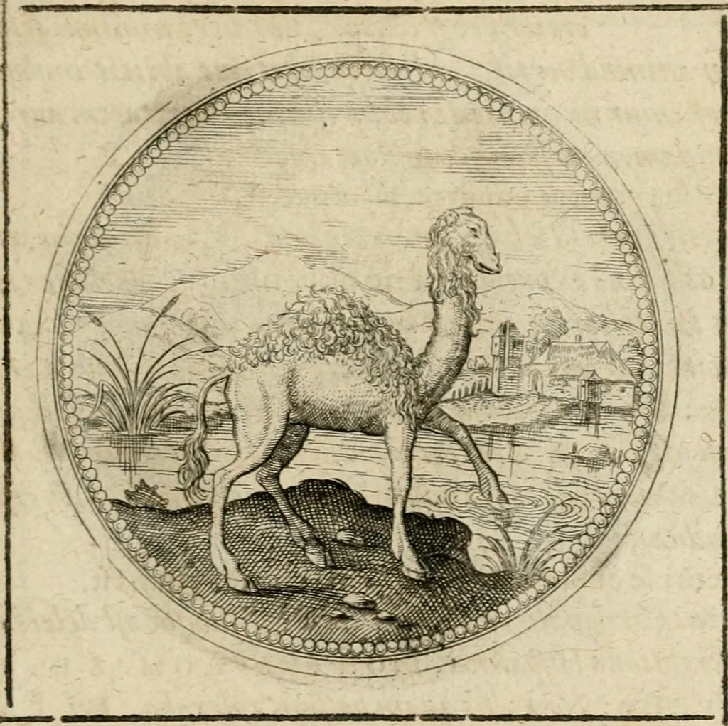 An illustration from Symboloru[m] & emblematum ex re herbaria desumtorum centuria vna[-quarta] collecta, 1654, leaf 452