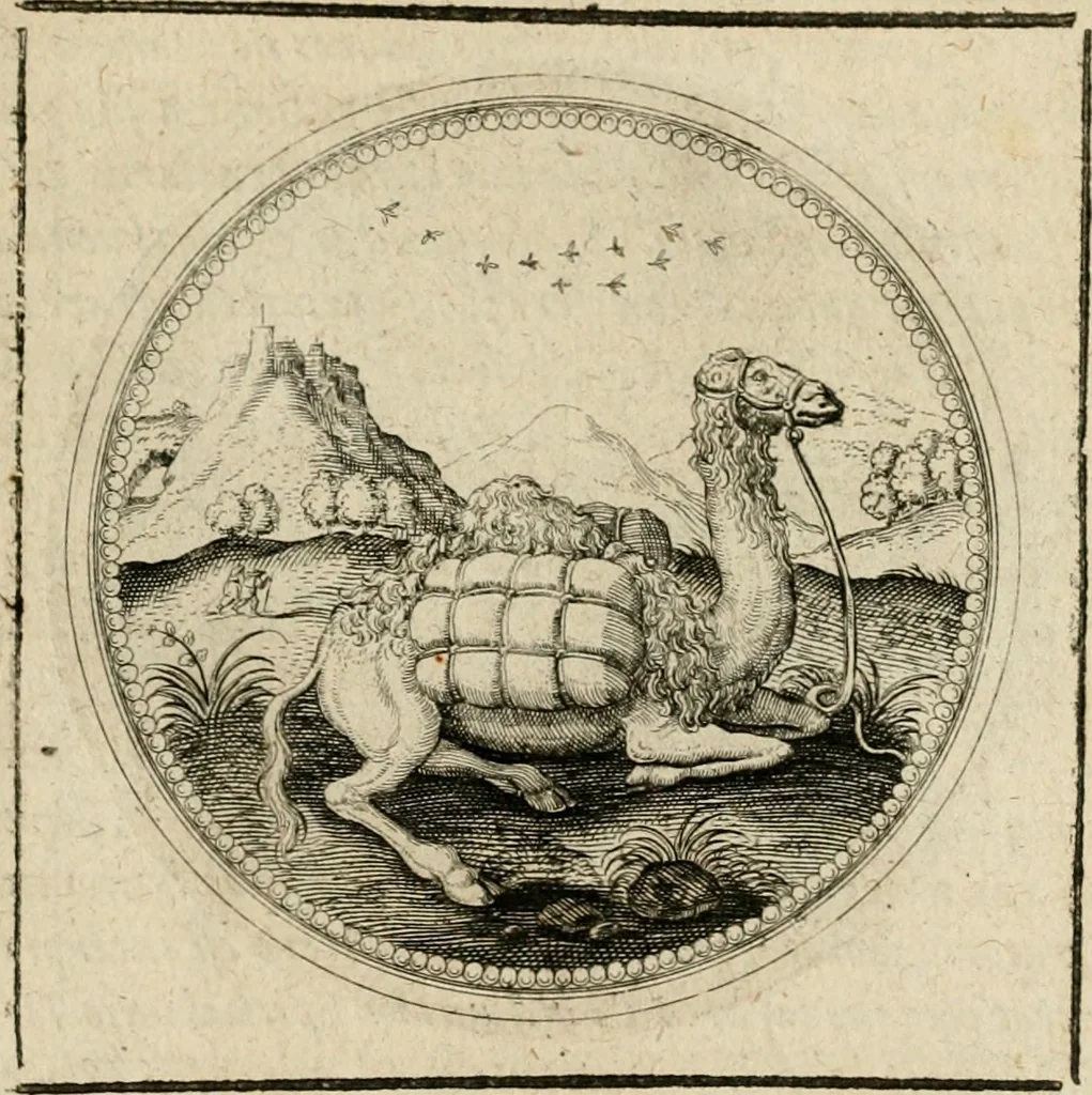 An illustration from Symboloru[m] & emblematum ex re herbaria desumtorum centuria vna[-quarta] collecta, 1654, leaf 454