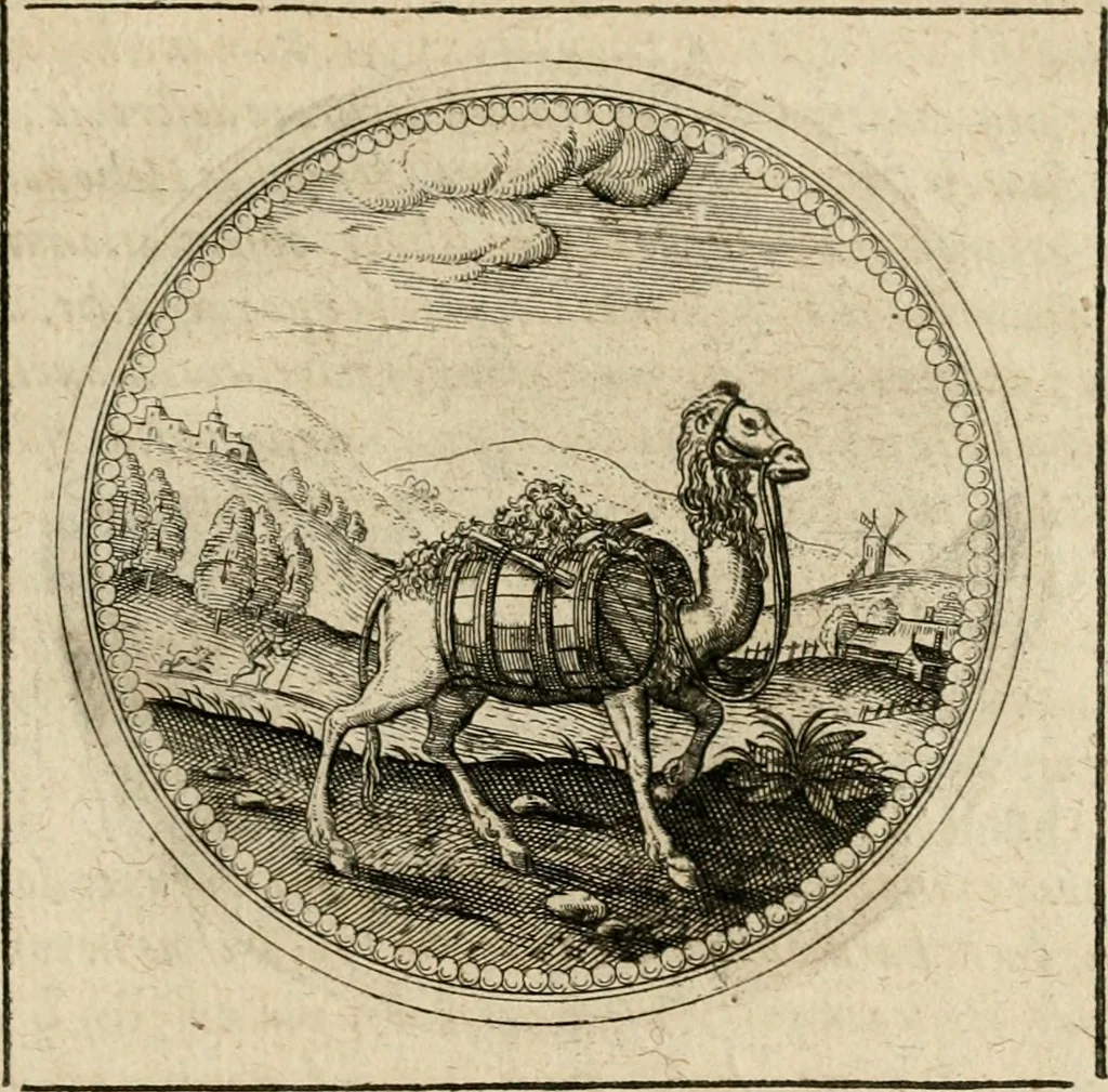 An illustration from Symboloru[m] & emblematum ex re herbaria desumtorum centuria vna[-quarta] collecta, 1654, leaf 456