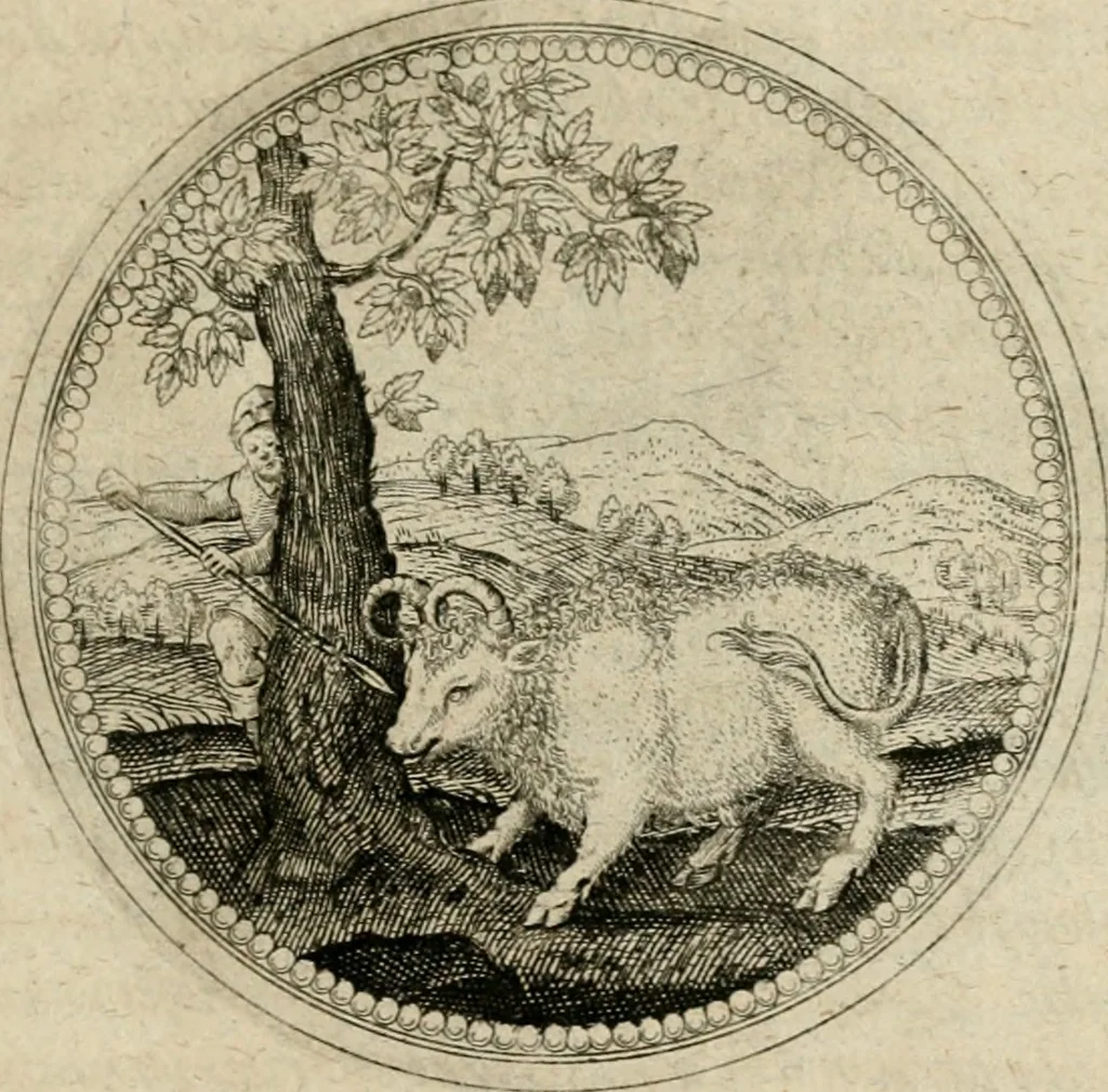An illustration from Symboloru[m] & emblematum ex re herbaria desumtorum centuria vna[-quarta] collecta, 1654, leaf 460