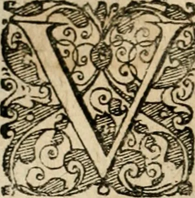 An illustration from Symboloru[m] & emblematum ex re herbaria desumtorum centuria vna[-quarta] collecta, 1654, leaf 461