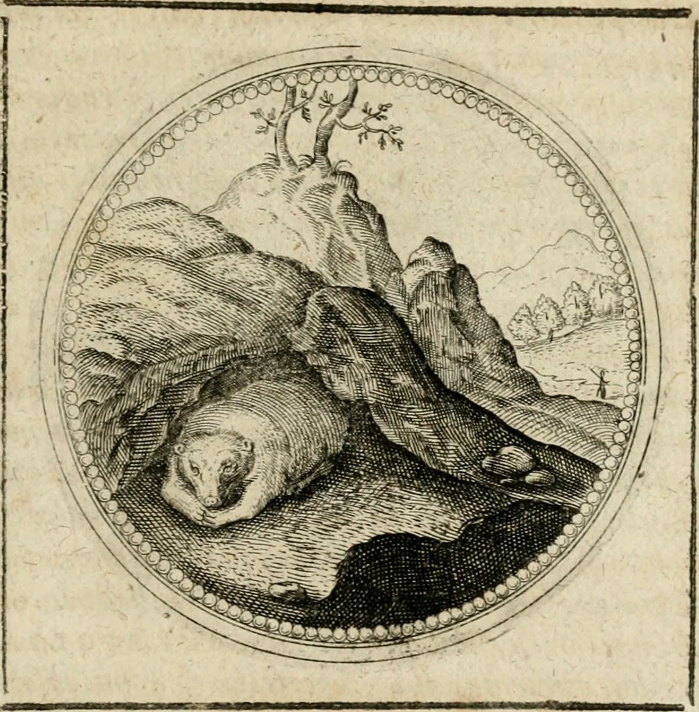 An illustration from Symboloru[m] & emblematum ex re herbaria desumtorum centuria vna[-quarta] collecta, 1654, leaf 462