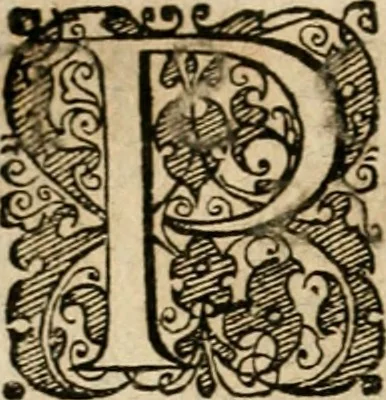 An illustration from Symboloru[m] & emblematum ex re herbaria desumtorum centuria vna[-quarta] collecta, 1654, leaf 463