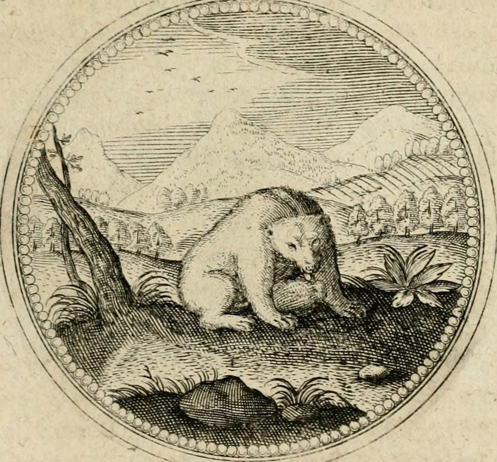 An illustration from Symboloru[m] & emblematum ex re herbaria desumtorum centuria vna[-quarta] collecta, 1654, leaf 464