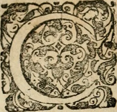 An illustration from Symboloru[m] & emblematum ex re herbaria desumtorum centuria vna[-quarta] collecta, 1654, leaf 465