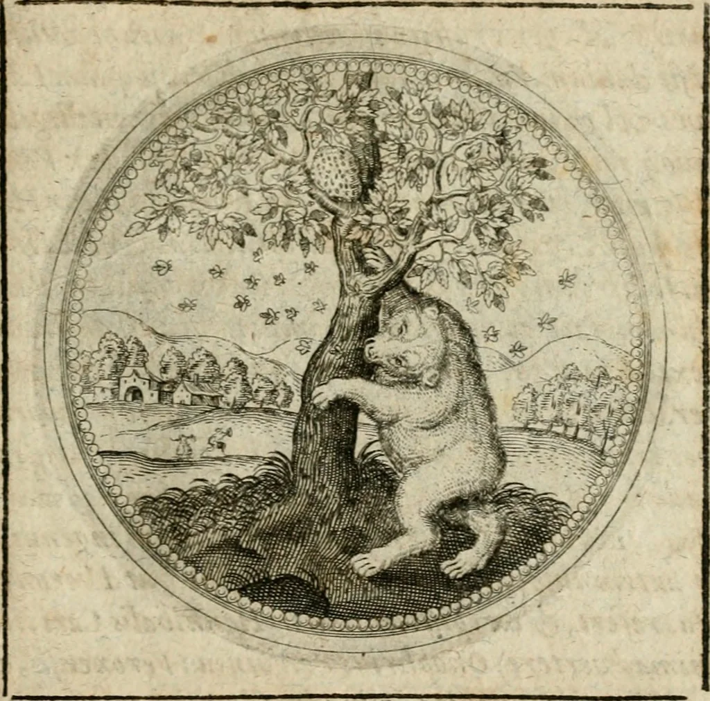 An illustration from Symboloru[m] & emblematum ex re herbaria desumtorum centuria vna[-quarta] collecta, 1654, leaf 468
