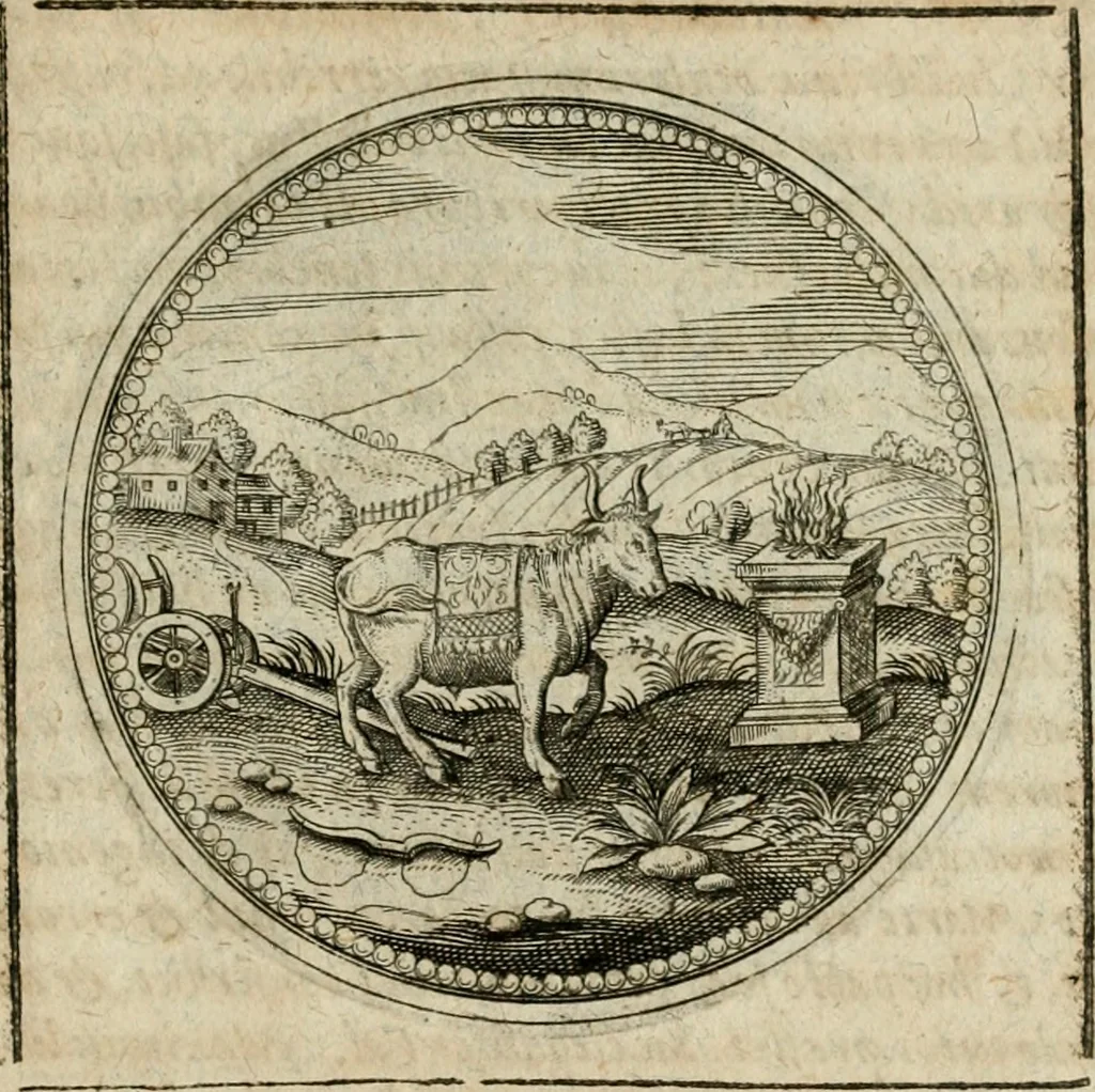 An illustration from Symboloru[m] & emblematum ex re herbaria desumtorum centuria vna[-quarta] collecta, 1654, leaf 470