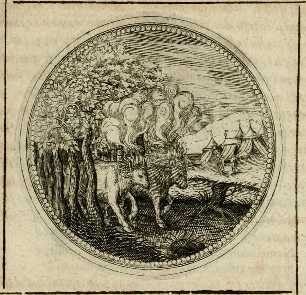 An illustration from Symboloru[m] & emblematum ex re herbaria desumtorum centuria vna[-quarta] collecta, 1654, leaf 472