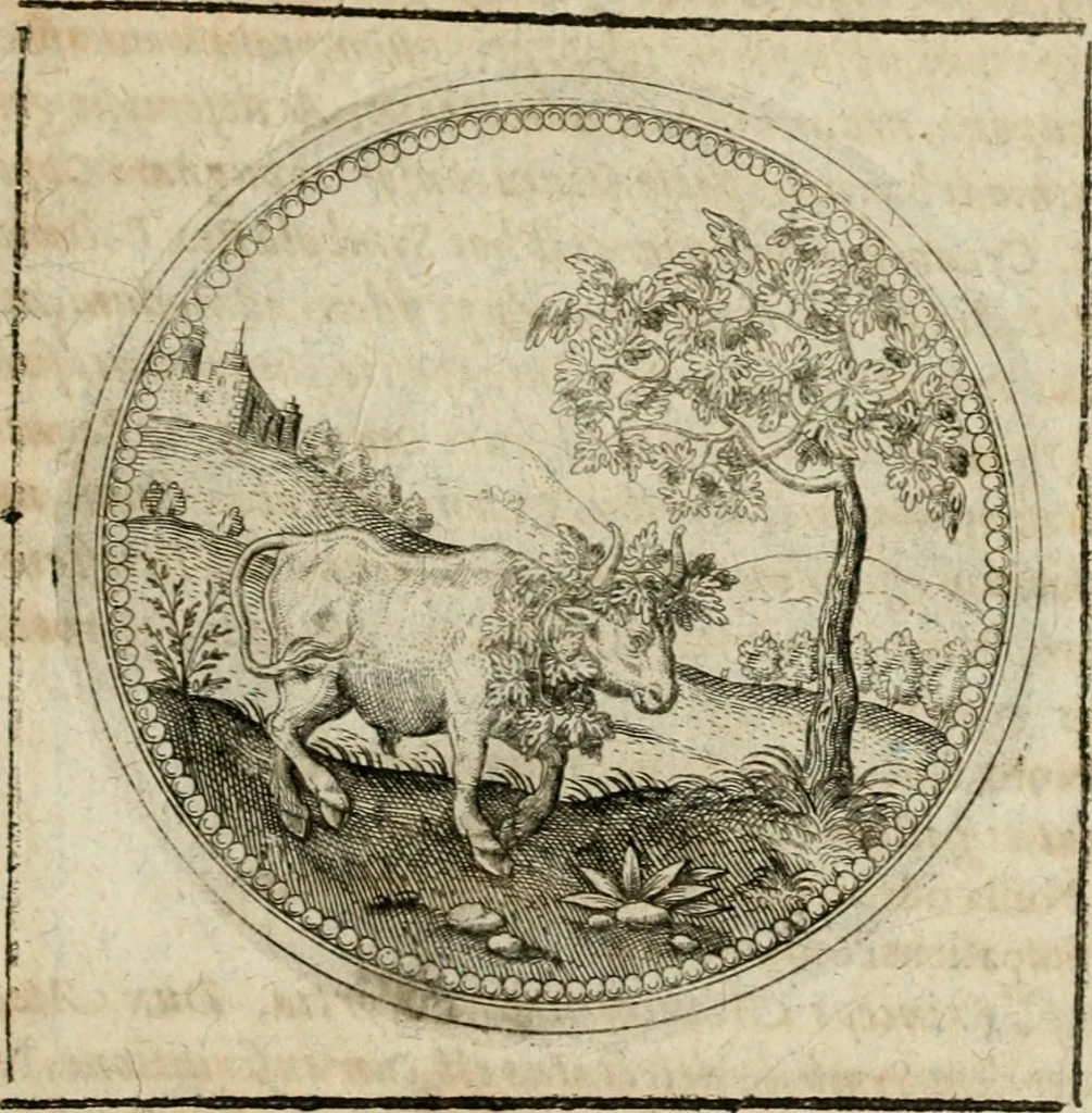 An illustration from Symboloru[m] & emblematum ex re herbaria desumtorum centuria vna[-quarta] collecta, 1654, leaf 474