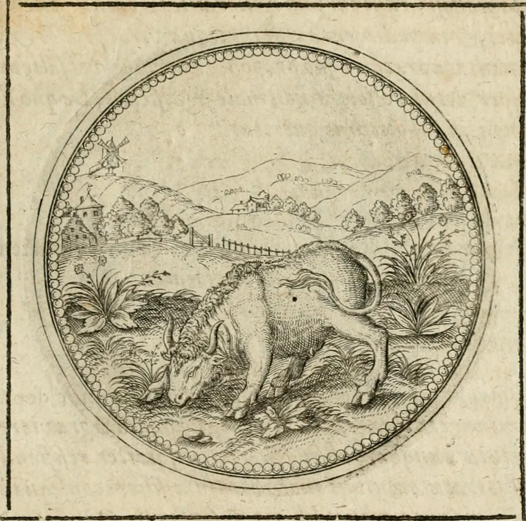 An illustration from Symboloru[m] & emblematum ex re herbaria desumtorum centuria vna[-quarta] collecta, 1654, leaf 476