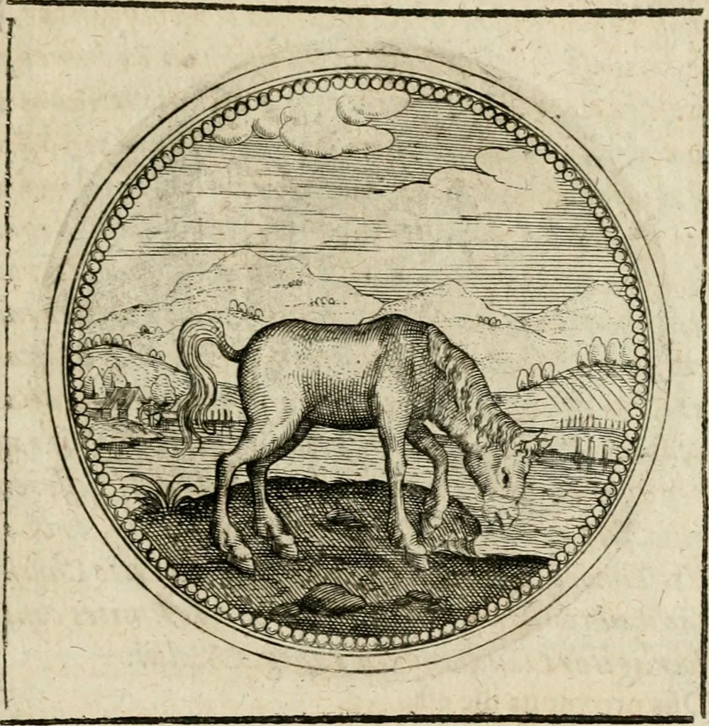 An illustration from Symboloru[m] & emblematum ex re herbaria desumtorum centuria vna[-quarta] collecta, 1654, leaf 482