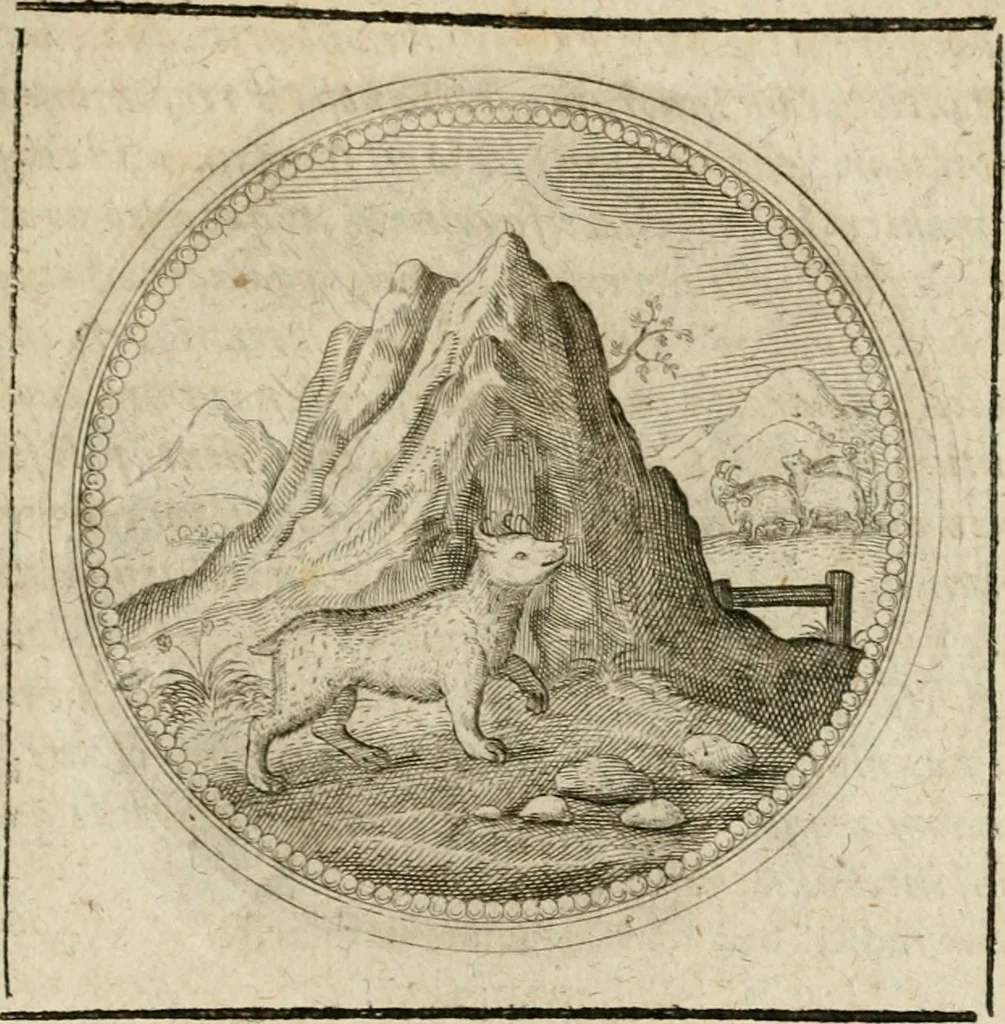 An illustration from Symboloru[m] & emblematum ex re herbaria desumtorum centuria vna[-quarta] collecta, 1654, leaf 490
