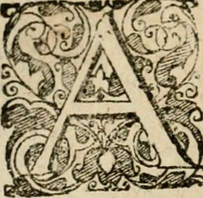 An illustration from Symboloru[m] & emblematum ex re herbaria desumtorum centuria vna[-quarta] collecta, 1654, leaf 497