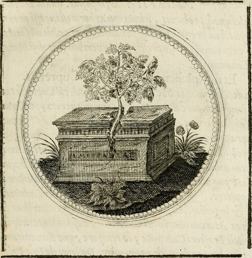 An illustration from Symboloru[m] & emblematum ex re herbaria desumtorum centuria vna[-quarta] collecta, 1654, leaf 50