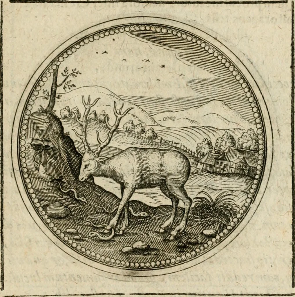 An illustration from Symboloru[m] & emblematum ex re herbaria desumtorum centuria vna[-quarta] collecta, 1654, leaf 502