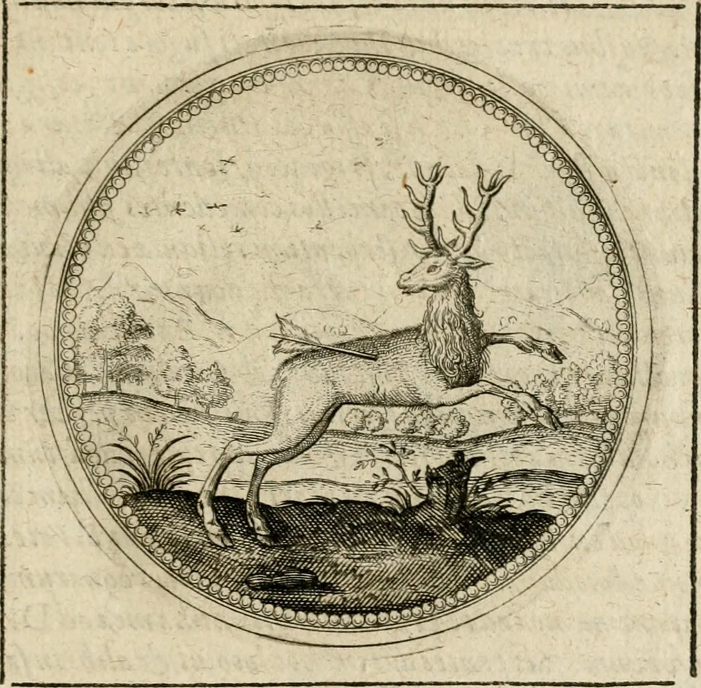 An illustration from Symboloru[m] & emblematum ex re herbaria desumtorum centuria vna[-quarta] collecta, 1654, leaf 504