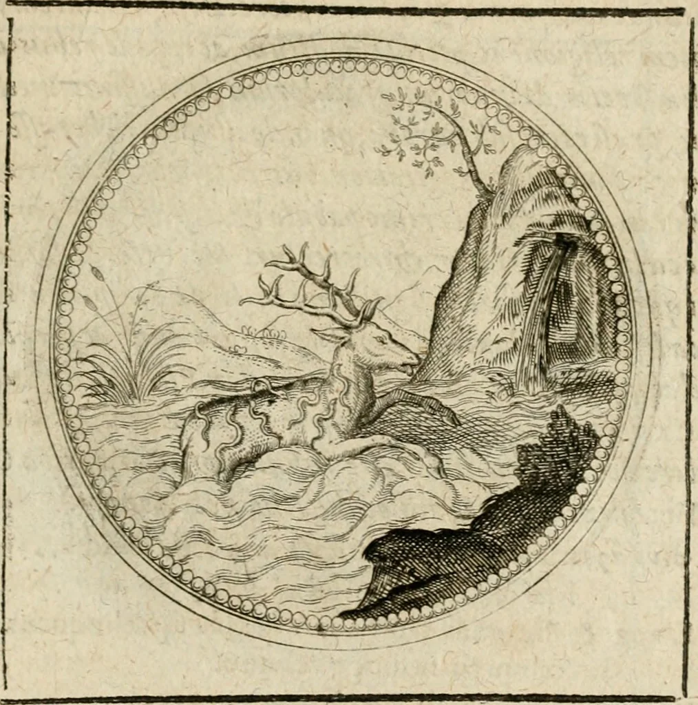 An illustration from Symboloru[m] & emblematum ex re herbaria desumtorum centuria vna[-quarta] collecta, 1654, leaf 506