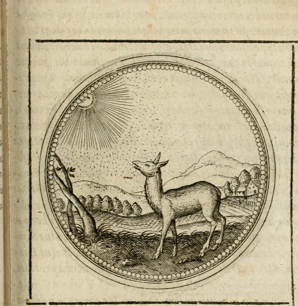 An illustration from Symboloru[m] & emblematum ex re herbaria desumtorum centuria vna[-quarta] collecta, 1654, leaf 508