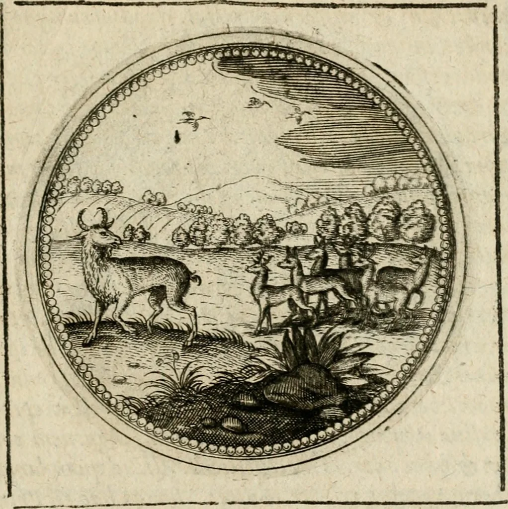 An illustration from Symboloru[m] & emblematum ex re herbaria desumtorum centuria vna[-quarta] collecta, 1654, leaf 510