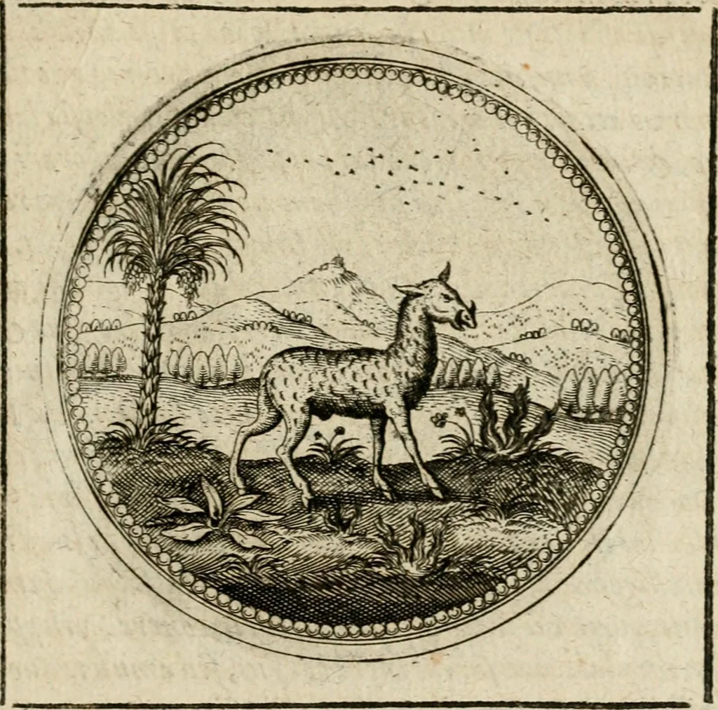 An illustration from Symboloru[m] & emblematum ex re herbaria desumtorum centuria vna[-quarta] collecta, 1654, leaf 512