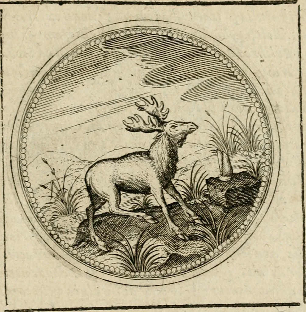 An illustration from Symboloru[m] & emblematum ex re herbaria desumtorum centuria vna[-quarta] collecta, 1654, leaf 514