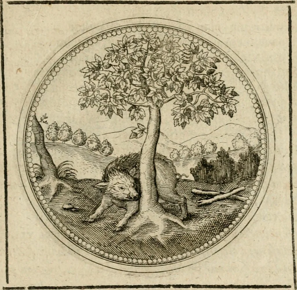 An illustration from Symboloru[m] & emblematum ex re herbaria desumtorum centuria vna[-quarta] collecta, 1654, leaf 516