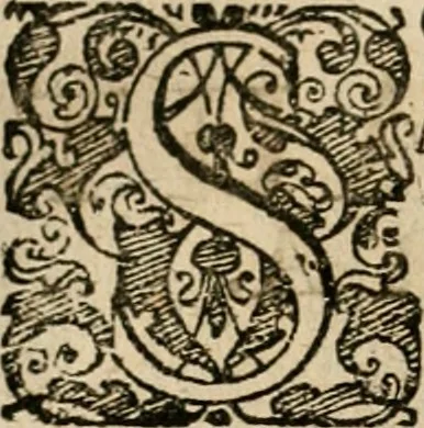 An illustration from Symboloru[m] & emblematum ex re herbaria desumtorum centuria vna[-quarta] collecta, 1654, leaf 519