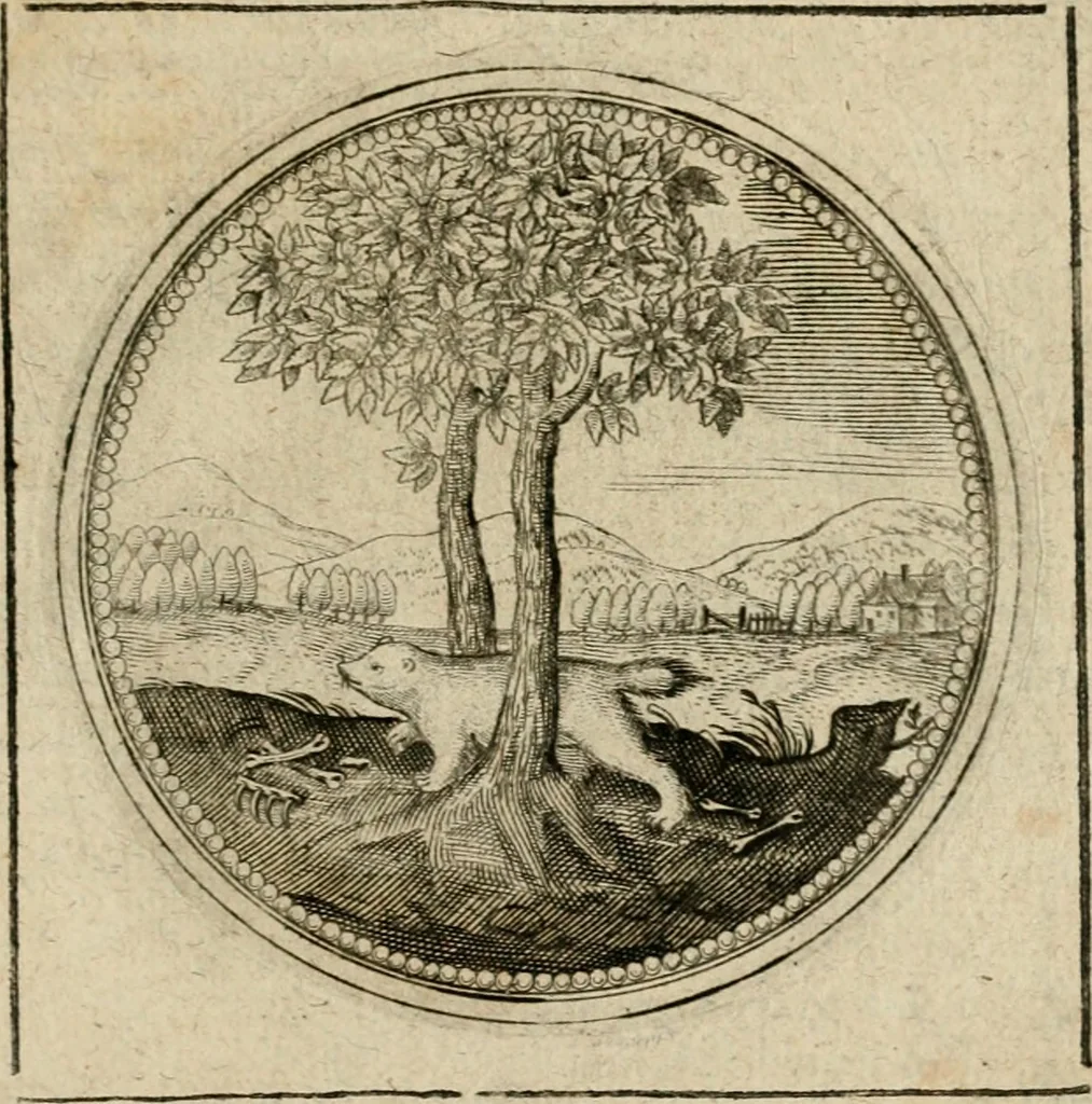 An illustration from Symboloru[m] & emblematum ex re herbaria desumtorum centuria vna[-quarta] collecta, 1654, leaf 530