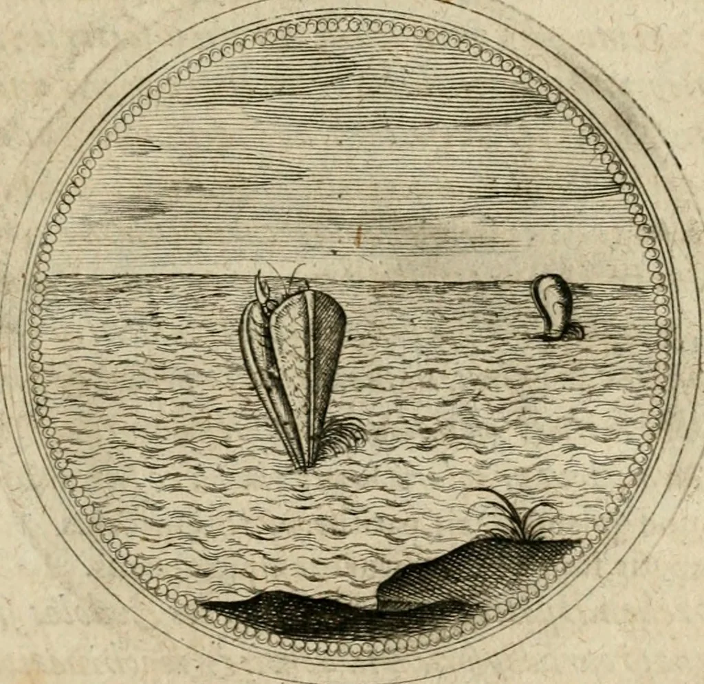 An illustration from Symboloru[m] & emblematum ex re herbaria desumtorum centuria vna[-quarta] collecta, 1654, leaf 534