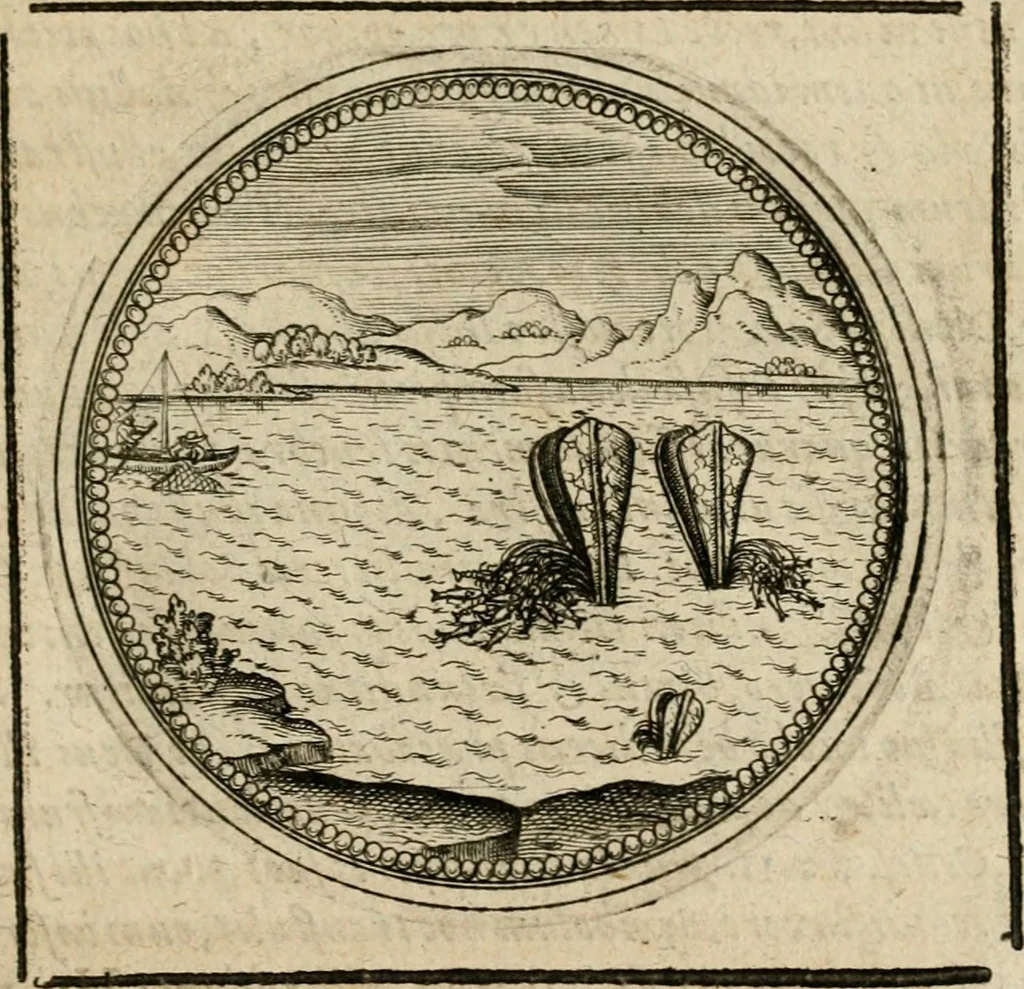 An illustration from Symboloru[m] & emblematum ex re herbaria desumtorum centuria vna[-quarta] collecta, 1654, leaf 536