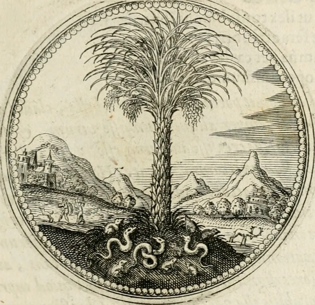 An illustration from Symboloru[m] & emblematum ex re herbaria desumtorum centuria vna[-quarta] collecta, 1654, leaf 54