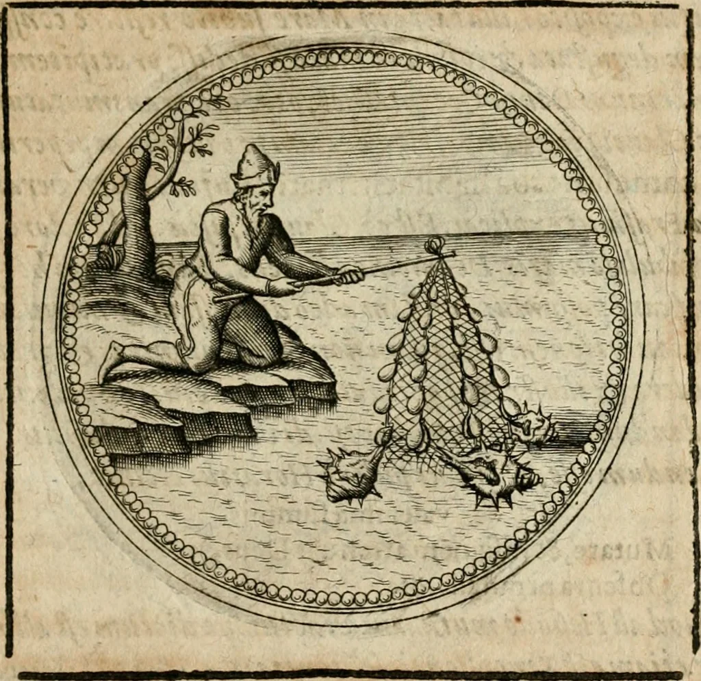 An illustration from Symboloru[m] & emblematum ex re herbaria desumtorum centuria vna[-quarta] collecta, 1654, leaf 542