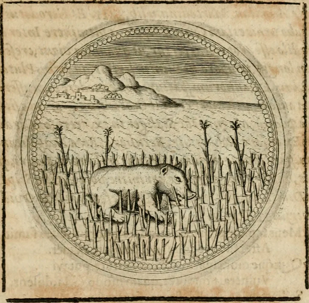 An illustration from Symboloru[m] & emblematum ex re herbaria desumtorum centuria vna[-quarta] collecta, 1654, leaf 550