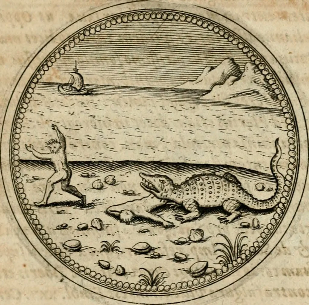 An illustration from Symboloru[m] & emblematum ex re herbaria desumtorum centuria vna[-quarta] collecta, 1654, leaf 554