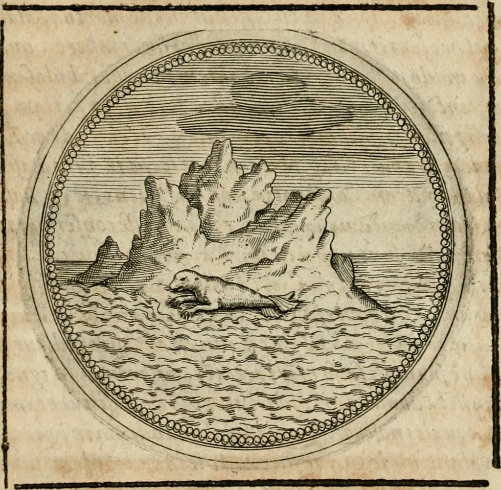 An illustration from Symboloru[m] & emblematum ex re herbaria desumtorum centuria vna[-quarta] collecta, 1654, leaf 556