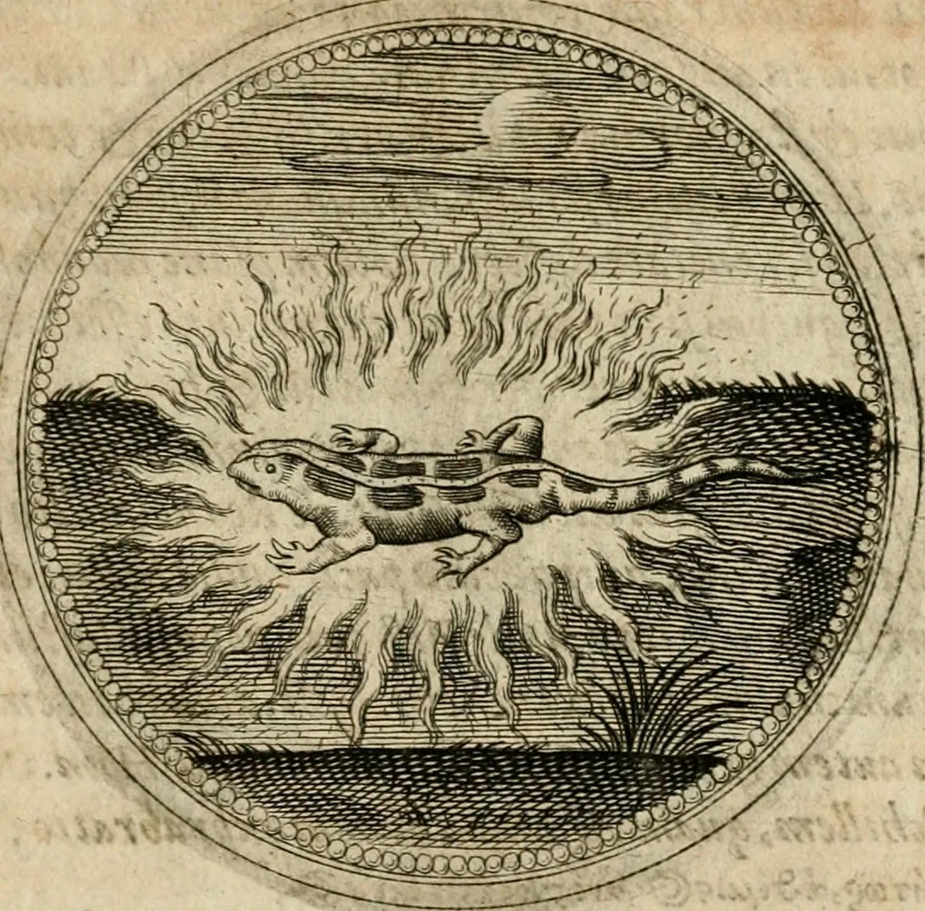 An illustration from Symboloru[m] & emblematum ex re herbaria desumtorum centuria vna[-quarta] collecta, 1654, leaf 558