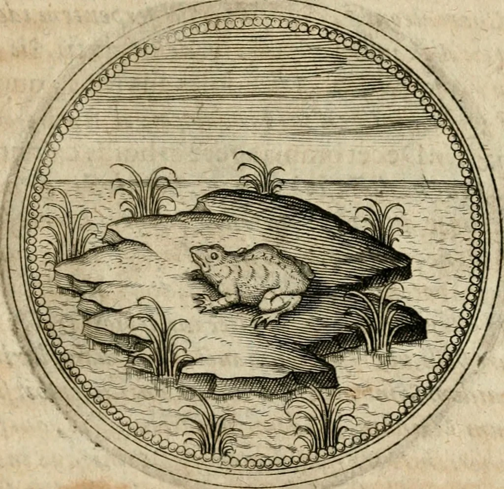 An illustration from Symboloru[m] & emblematum ex re herbaria desumtorum centuria vna[-quarta] collecta, 1654, leaf 562
