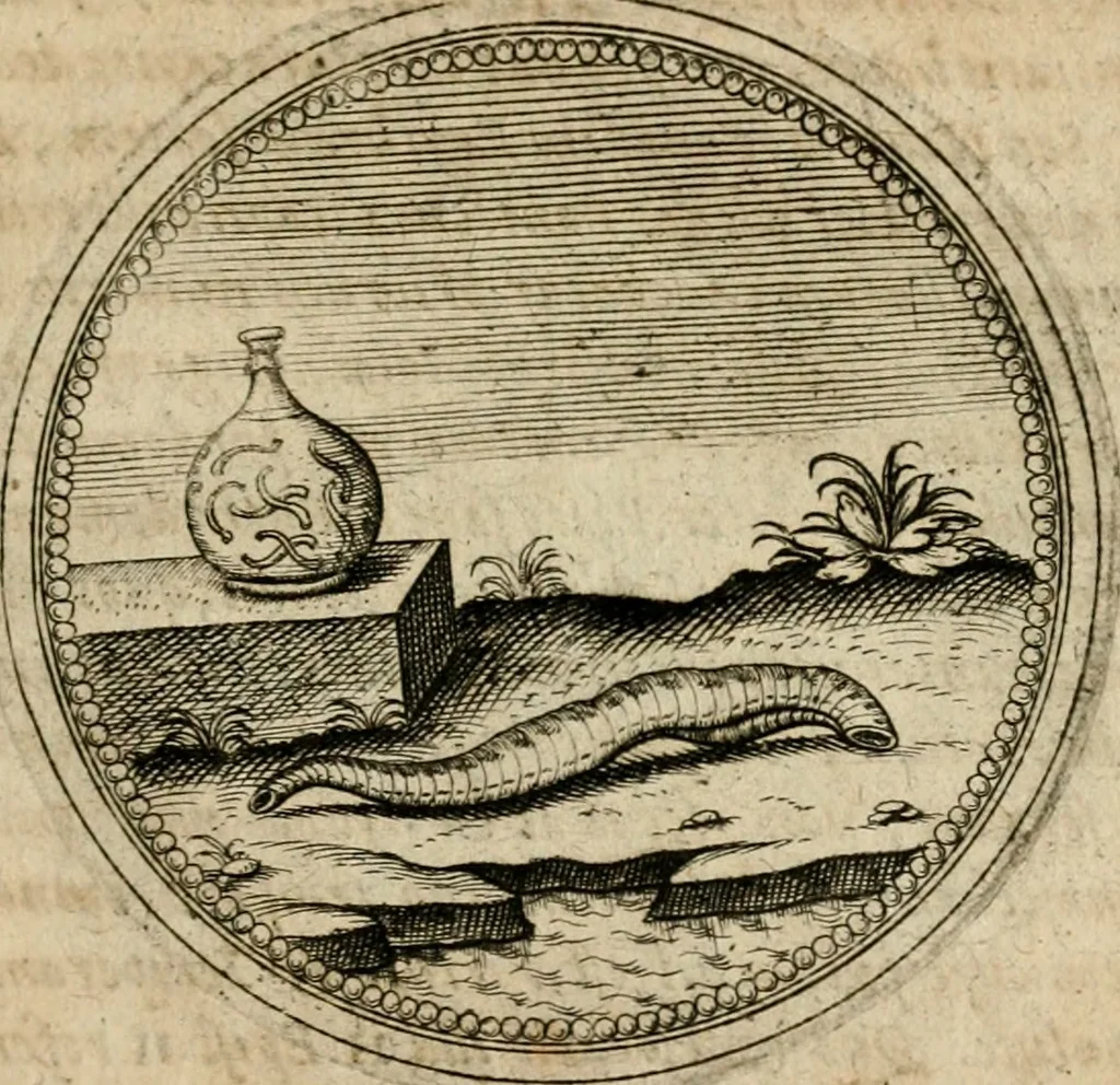 An illustration from Symboloru[m] & emblematum ex re herbaria desumtorum centuria vna[-quarta] collecta, 1654, leaf 568