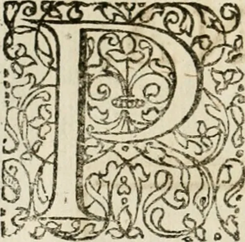 An illustration from Symboloru[m] & emblematum ex re herbaria desumtorum centuria vna[-quarta] collecta, 1654, leaf 57