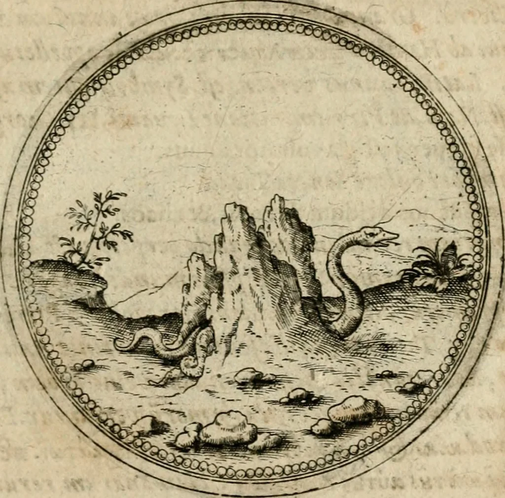 An illustration from Symboloru[m] & emblematum ex re herbaria desumtorum centuria vna[-quarta] collecta, 1654, leaf 584
