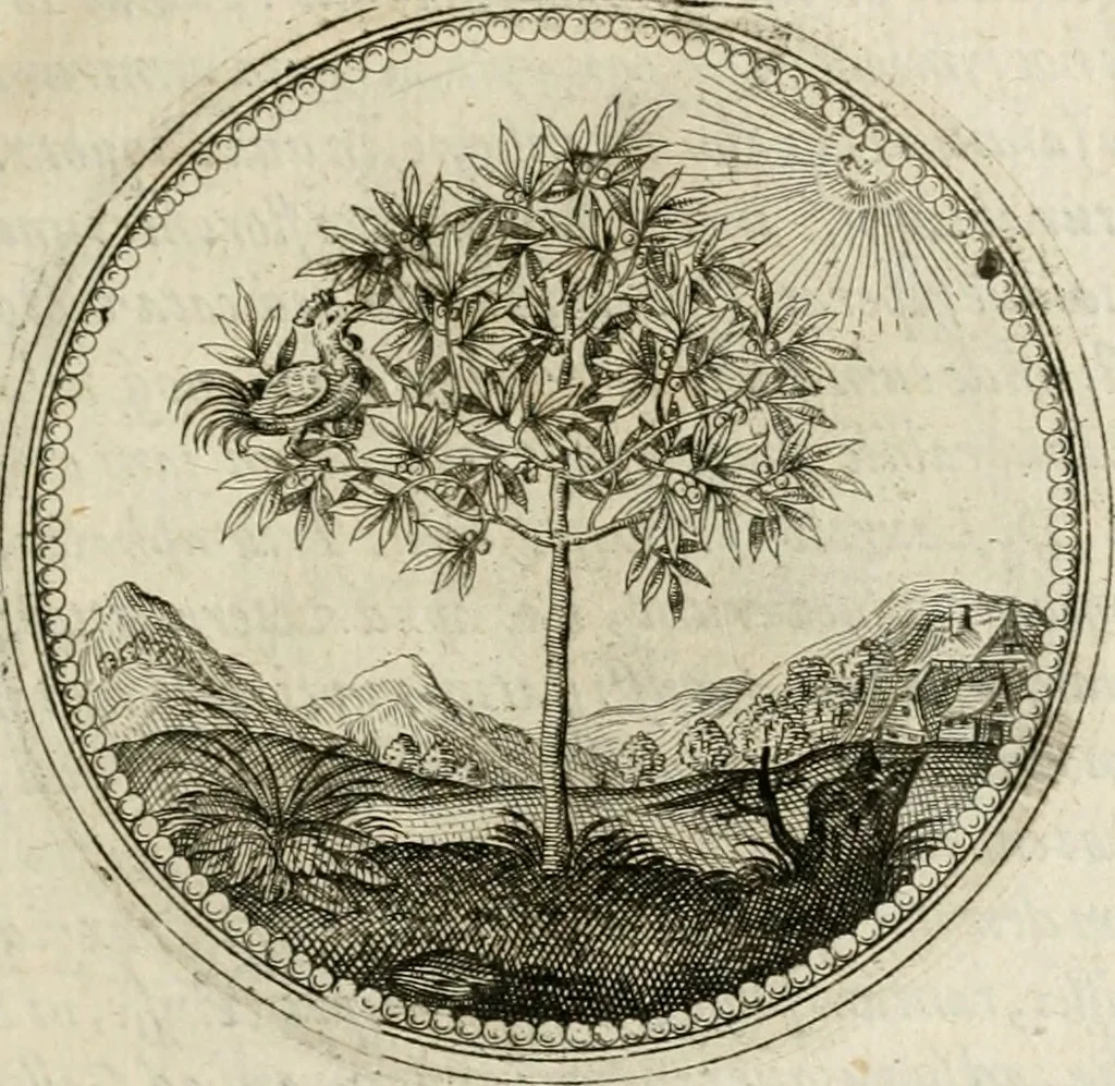 An illustration from Symboloru[m] & emblematum ex re herbaria desumtorum centuria vna[-quarta] collecta, 1654, leaf 60
