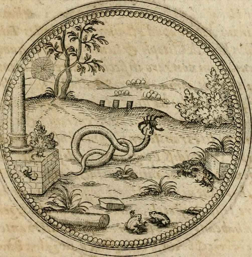 An illustration from Symboloru[m] & emblematum ex re herbaria desumtorum centuria vna[-quarta] collecta, 1654, leaf 604