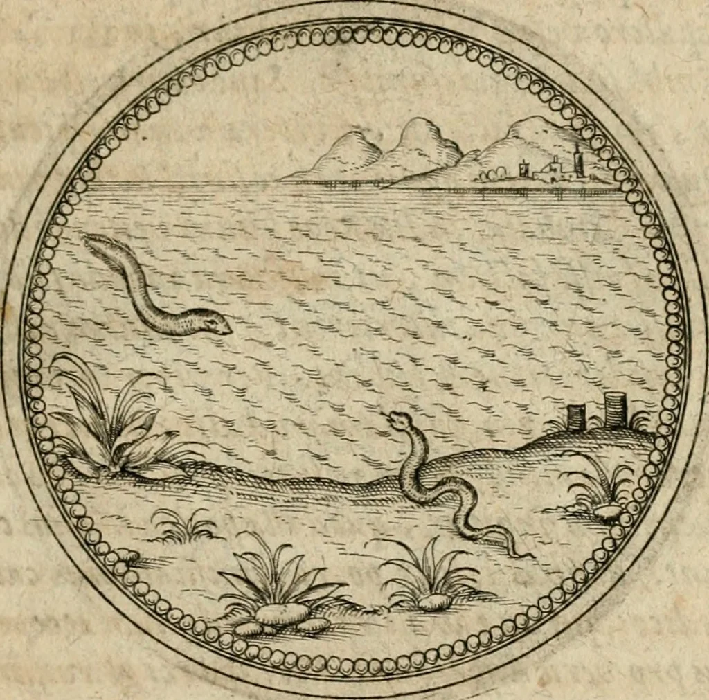 An illustration from Symboloru[m] & emblematum ex re herbaria desumtorum centuria vna[-quarta] collecta, 1654, leaf 606