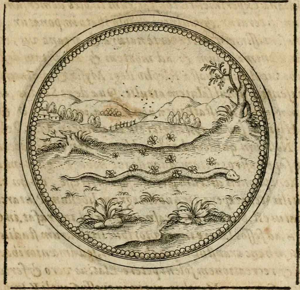 An illustration from Symboloru[m] & emblematum ex re herbaria desumtorum centuria vna[-quarta] collecta, 1654, leaf 608