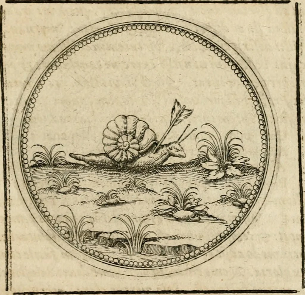 An illustration from Symboloru[m] & emblematum ex re herbaria desumtorum centuria vna[-quarta] collecta, 1654, leaf 616