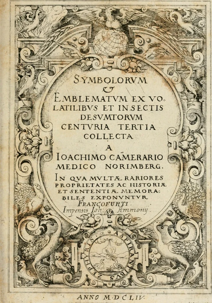 An illustration from Symboloru[m] & emblematum ex re herbaria desumtorum centuria vna[-quarta] collecta, 1654, leaf 624