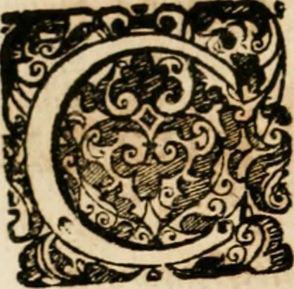 An illustration from Symboloru[m] & emblematum ex re herbaria desumtorum centuria vna[-quarta] collecta, 1654, leaf 627