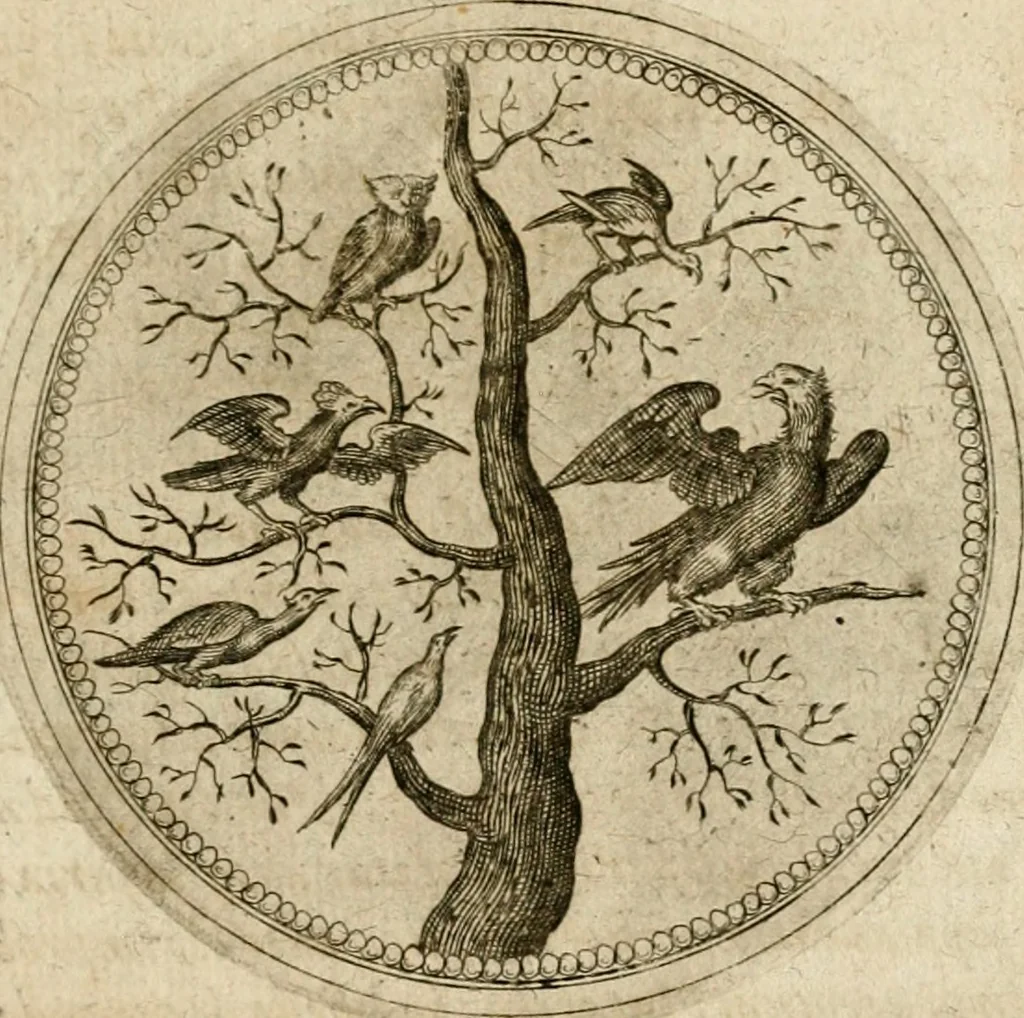 An illustration from Symboloru[m] & emblematum ex re herbaria desumtorum centuria vna[-quarta] collecta, 1654, leaf 636