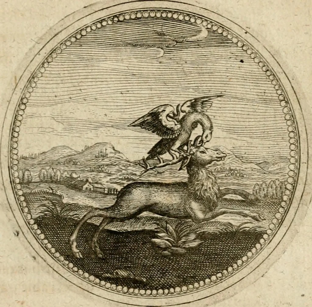 An illustration from Symboloru[m] & emblematum ex re herbaria desumtorum centuria vna[-quarta] collecta, 1654, leaf 646